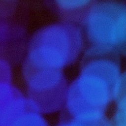 Bokeh-302